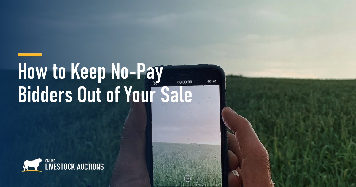 How to Keep No-Pay Bidders Out of Your Sale