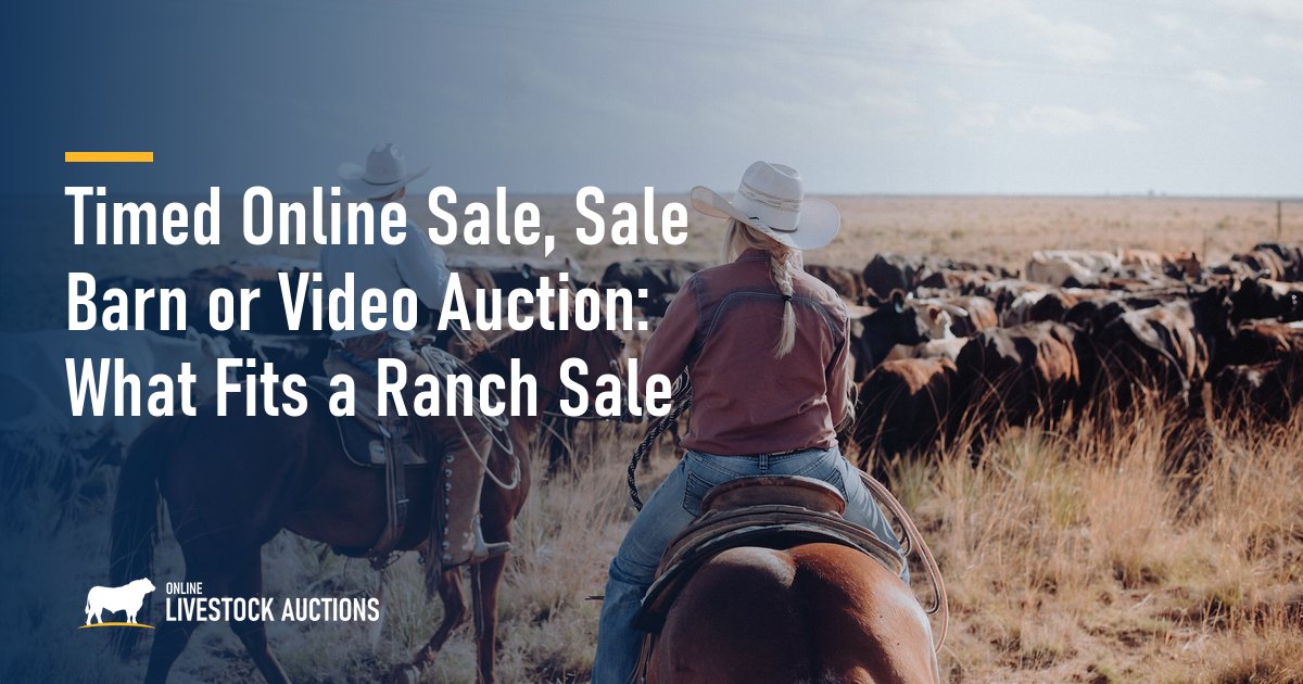 Timed Online Sale, Sale Barn or Video Auction: What Fits a Ranch Sale