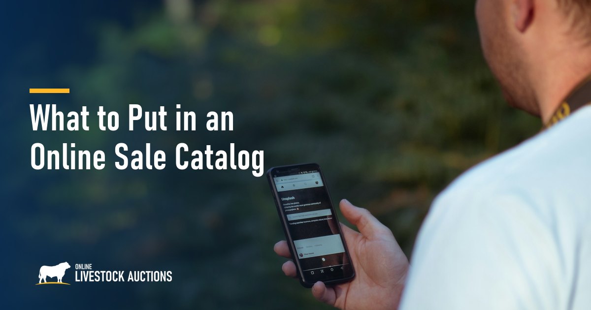 What to Put in an Online Sale Catalog